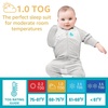 image:imageLove to Dream Swaddle Up 2in1 Transition Suit  10 TOG 1924 lbs Gray  Sleep Sack with Patented ZipOff Wings for ArmsFree Transition  Snug Fit amp Easy Diaper Changes  Moderate Temps 6875 FGray