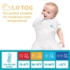 image:imageLove to Dream Swaddle Up Transition Bag  10 TOG 1924 lbs Chicken Run  Sleep Sack with Patented ZipOff Wings for ArmsFree Transition  Snug Fit amp Easy Diaper Changes  Moderate Temps 6875 FGray
