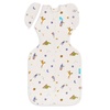 image:imageLove to Dream Swaddle Up Transition Bag  10 TOG 1924 lbs Chicken Run  Sleep Sack with Patented ZipOff Wings for ArmsFree Transition  Snug Fit amp Easy Diaper Changes  Moderate Temps 6875 FSpace Dinos