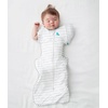 image:imageLove to Dream Swaddle Up Transition Bag  10 TOG 1924 lbs Chicken Run  Sleep Sack with Patented ZipOff Wings for ArmsFree Transition  Snug Fit amp Easy Diaper Changes  Moderate Temps 6875 FDreamer
