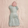 image:imageLove to Dream Swaddle Up Transition Bag  10 TOG 1924 lbs Chicken Run  Sleep Sack with Patented ZipOff Wings for ArmsFree Transition  Snug Fit amp Easy Diaper Changes  Moderate Temps 6875 FBig Sky Charcoal