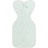 Mint Celestial Dot