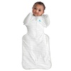 image:imageLove to Dream Swaddle Up Transition Bag  10 TOG 1924 lbs Chicken Run  Sleep Sack with Patented ZipOff Wings for ArmsFree Transition  Snug Fit amp Easy Diaper Changes  Moderate Temps 6875 FDreamer