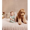 image:imageLove to Dream Swaddle Up Transition Bag  25 TOG 1319 lbs Rose PebblesOlive