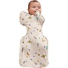 Space Dinos