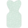 Mint Celestial Dot